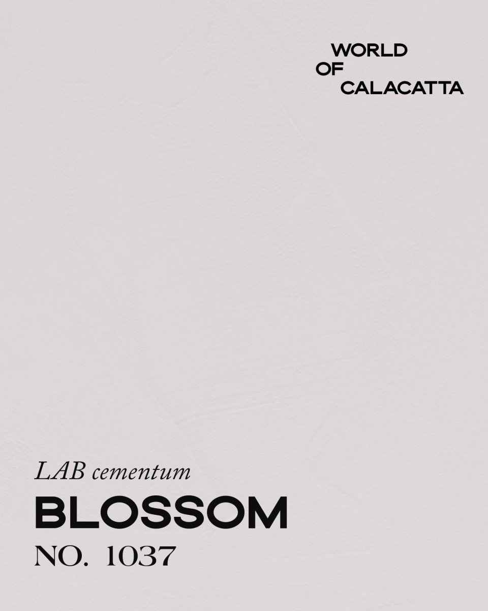 CALACATTA BLOSSOM NO. 1037 - LAB COLOUR THE WORLD