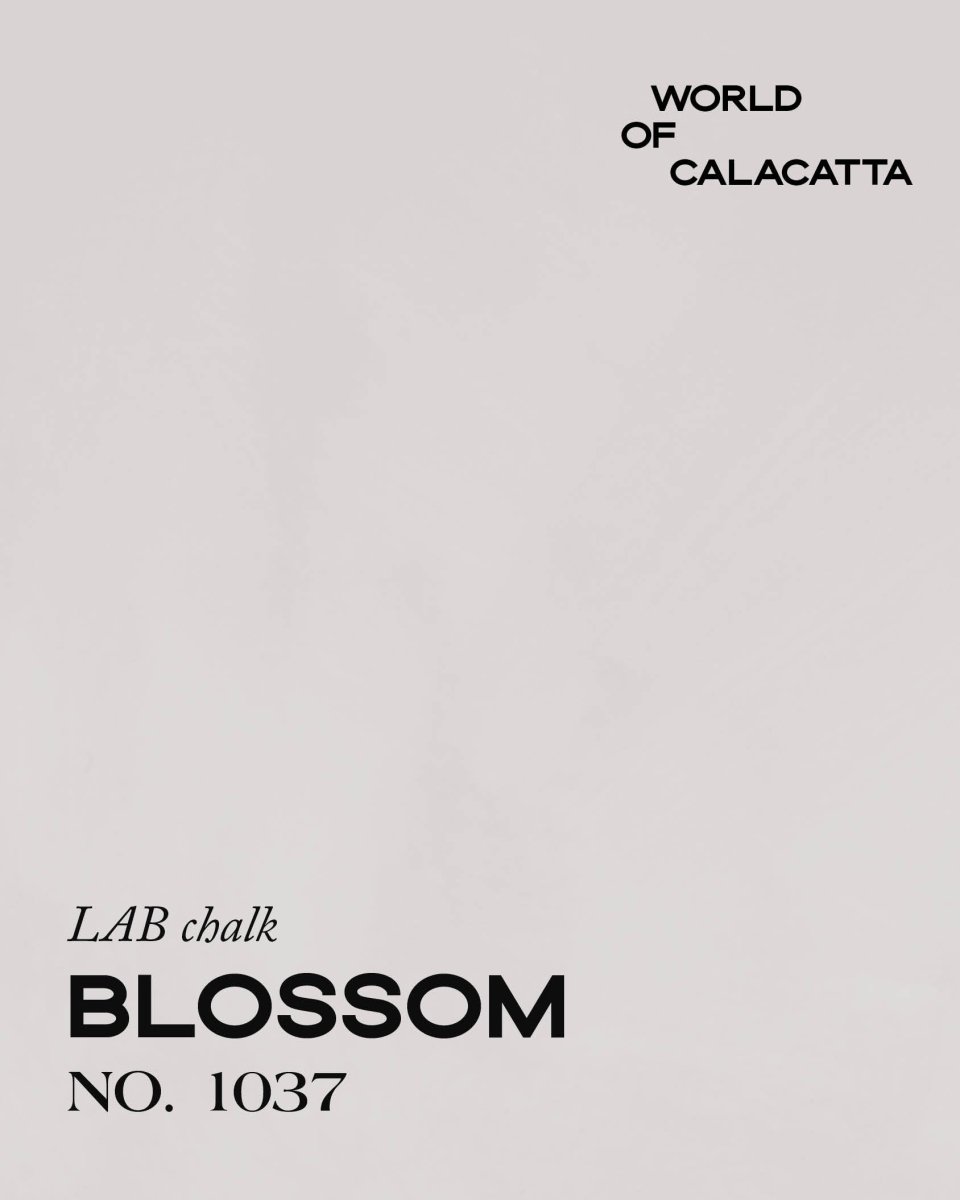 CALACATTA BLOSSOM NO. 1037 - LAB COLOUR THE WORLD