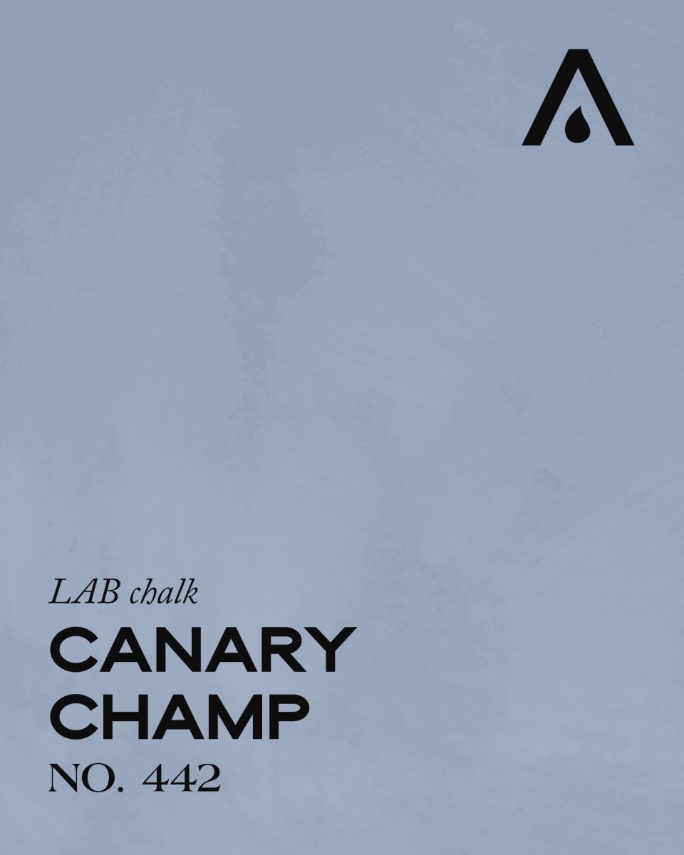 CANARY CHAMP NO. 442 - LAB COLOUR THE WORLD