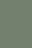 Card Room Green no. 79 - LAB COLOUR THE WORLD