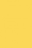 Citron no. 74 - LAB COLOUR THE WORLD