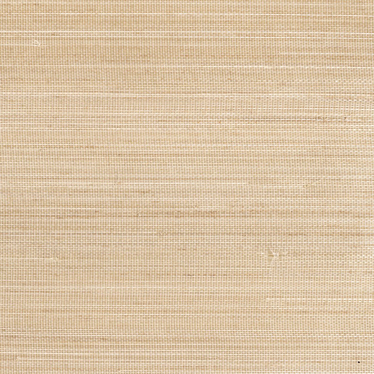 CMO Paris Abaca Dense Behang WAB 05 20 - Miel - LAB COLOUR THE WORLD
