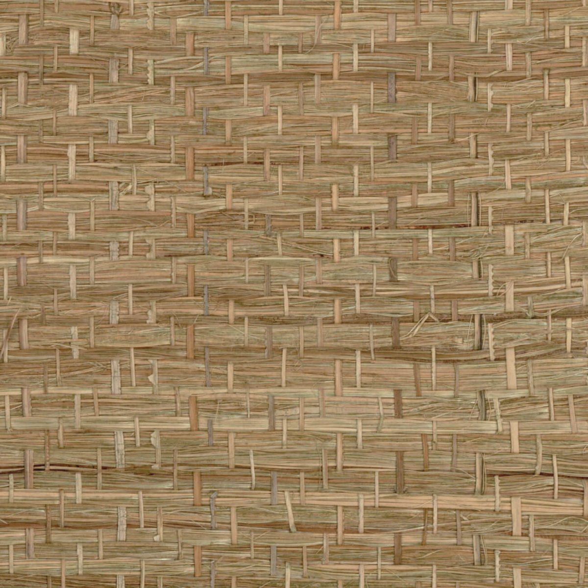 CMO Paris Abaca Herbacé Behang WAB 11 67 - olive - LAB COLOUR THE WORLD