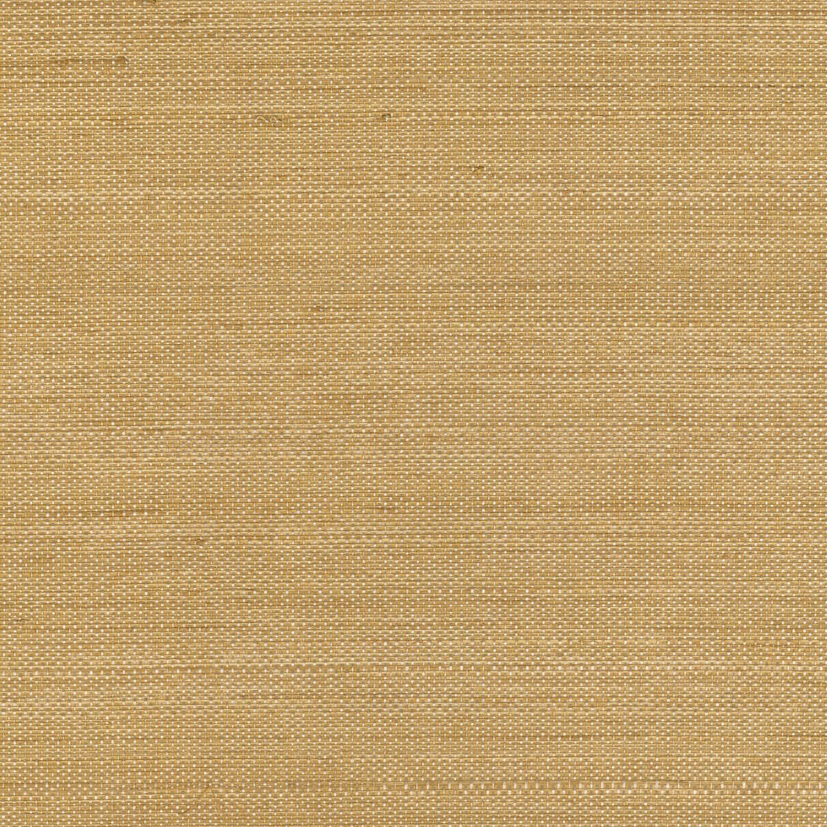 CMO Paris Abaca Précieux Behang WAB 17 92 - Or - LAB COLOUR THE WORLD