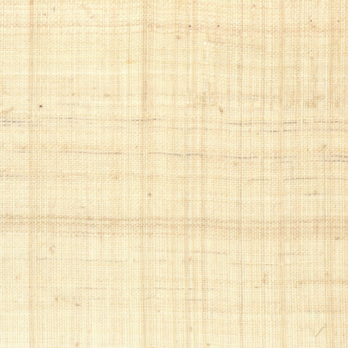 CMO Paris Abaca Pur Behang WAB 09 01 - blanc - LAB COLOUR THE WORLD