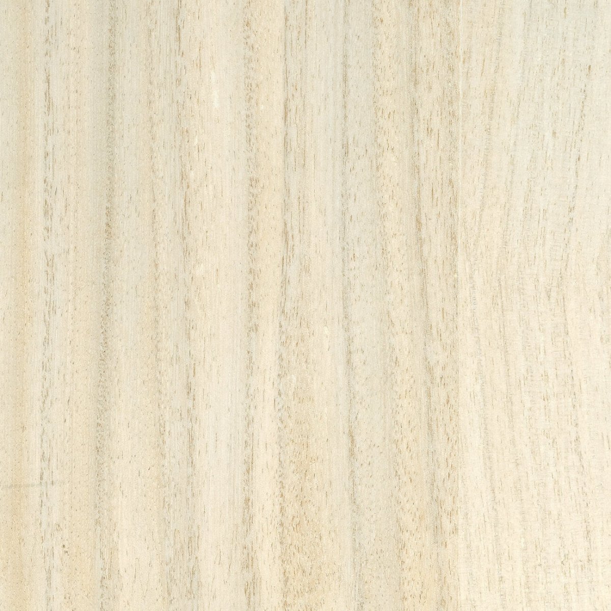 CMO Paris Bois Behang WBO 01 01 - Blanc - LAB COLOUR THE WORLD