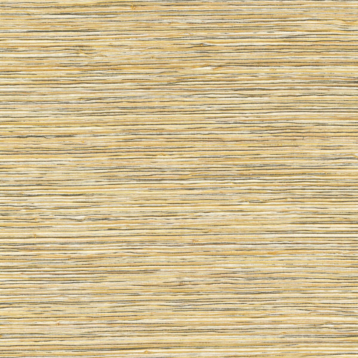 CMO Paris Crin de Soie Behang WAB 14 01 - Naturel - LAB COLOUR THE WORLD