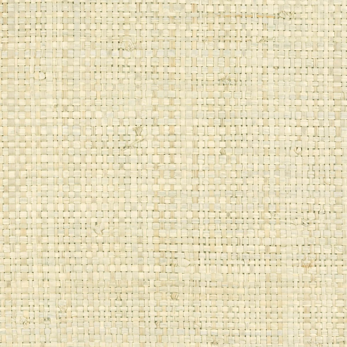 CMO Paris Raphia Pur Behang WRA 05 88 - Polaire - LAB COLOUR THE WORLD
