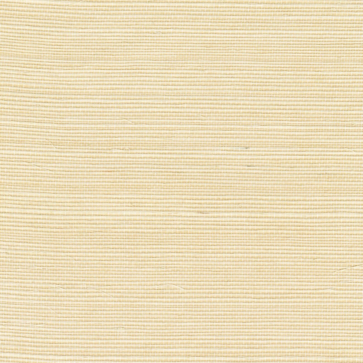 CMO Paris Sisal Behang WSI 01 17 - Ecru - LAB COLOUR THE WORLD