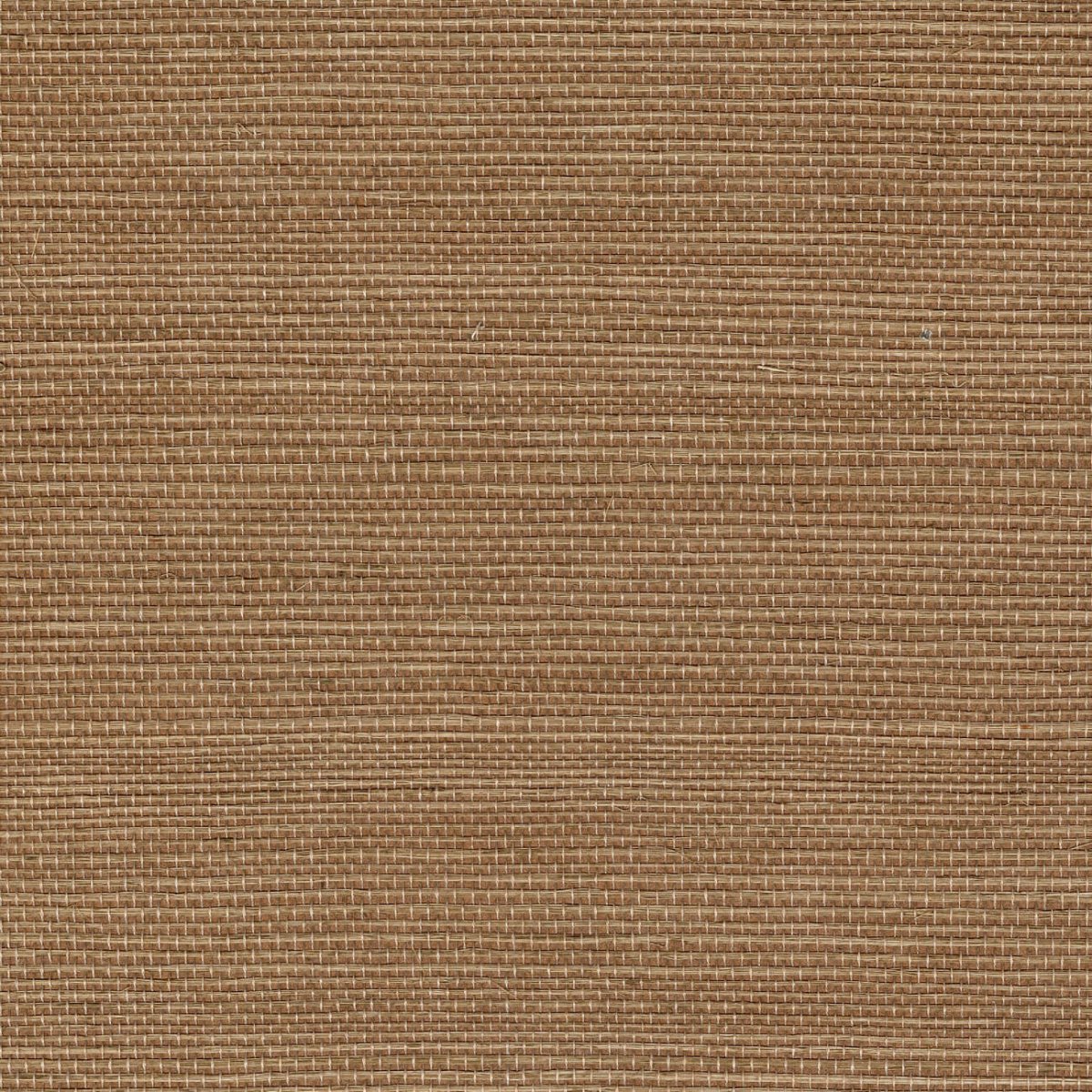 CMO Paris Sisal Behang WSI 01 74 - Ecorce - LAB COLOUR THE WORLD