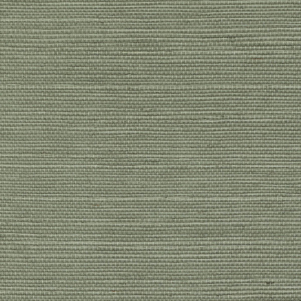 CMO Paris Sisal Behang WSI 01 88 - Acier - LAB COLOUR THE WORLD