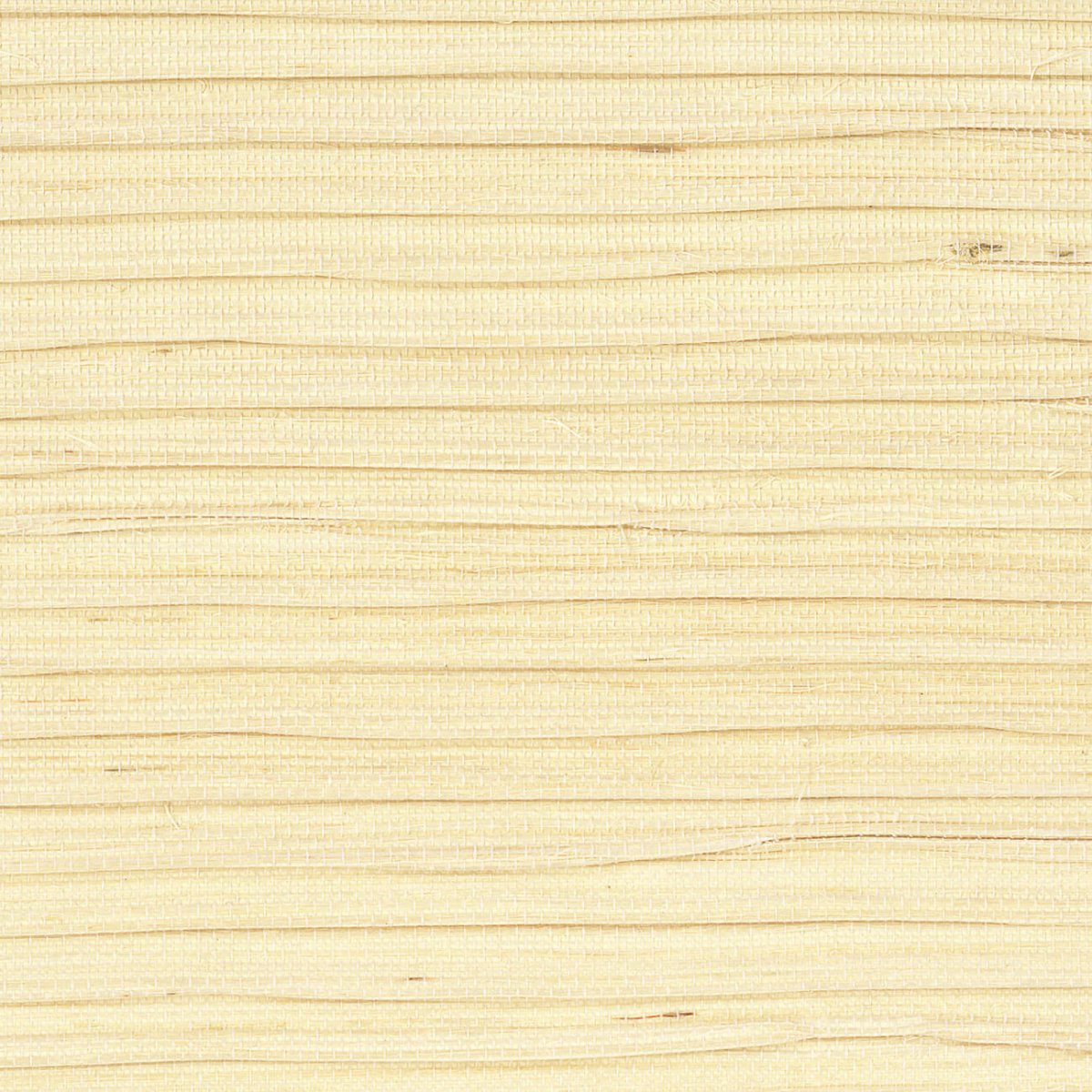 CMO Paris Sisal Plissé Behang WSI 07 02 - Ivoire - LAB COLOUR THE WORLD