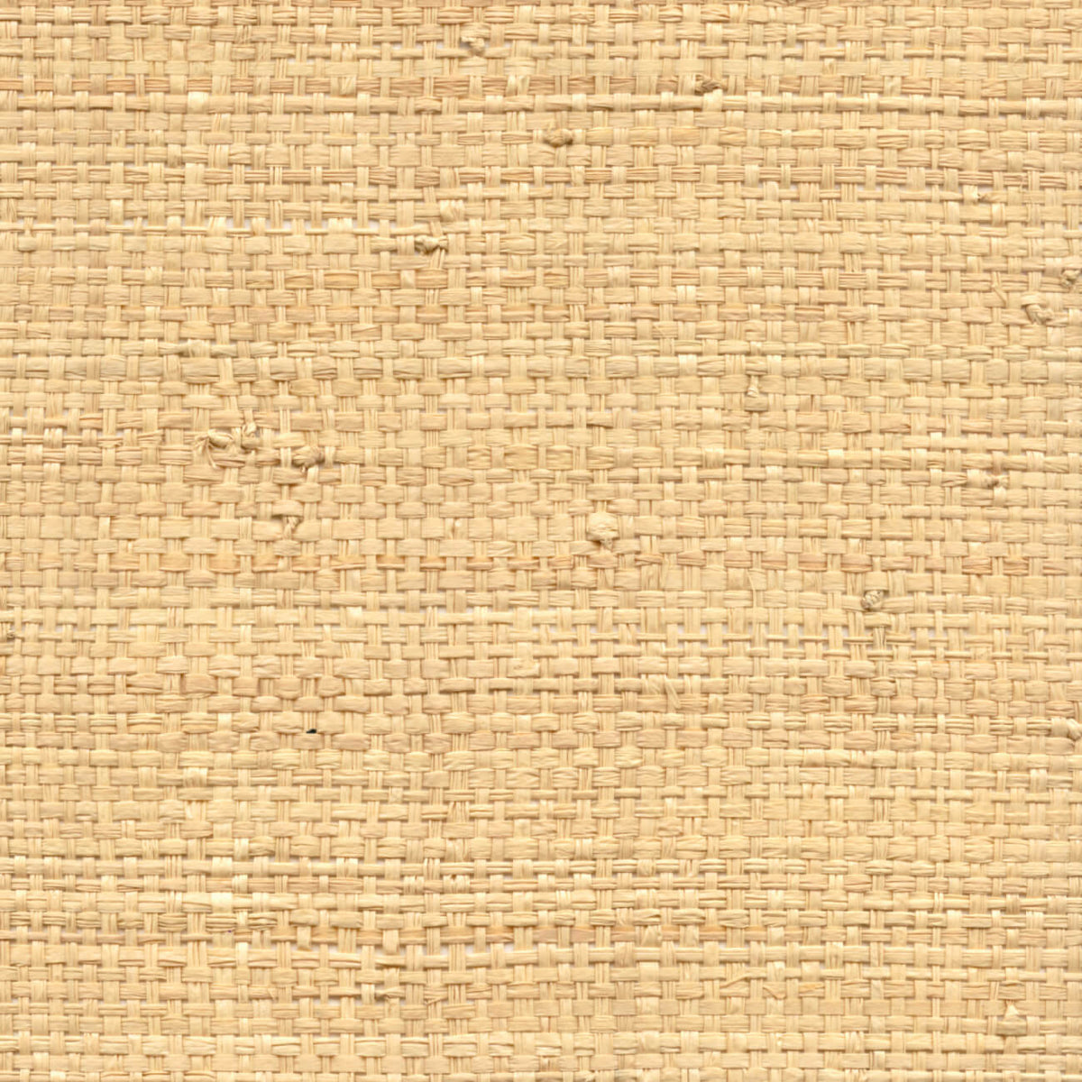 CMO Paris Raphia Sauvage Behang CMO WRA 04 - miel