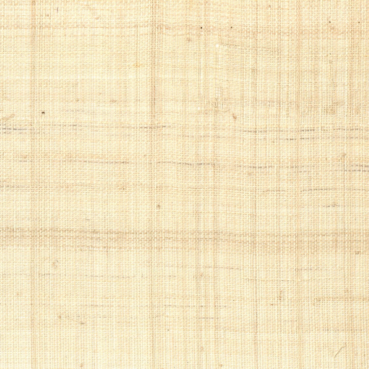 CMO Paris Abaca Pur Behang CMO WAB 09 - blanc