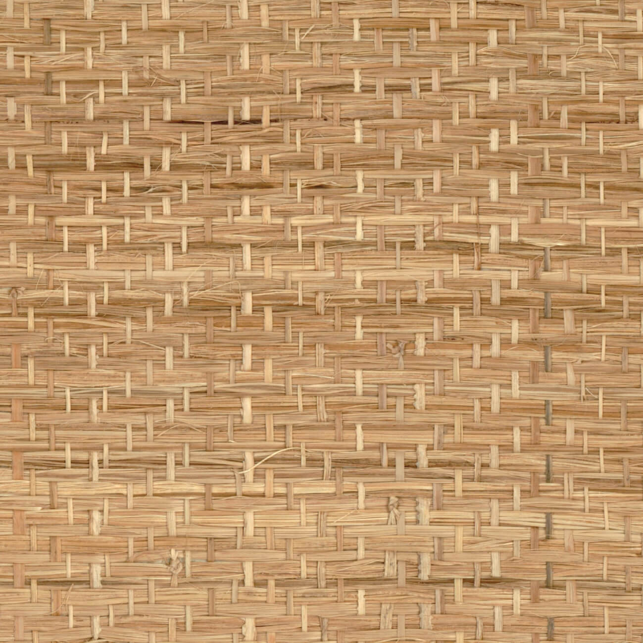 CMO Paris Abaca Herbacé Behang CMO WAB 11 - naturel