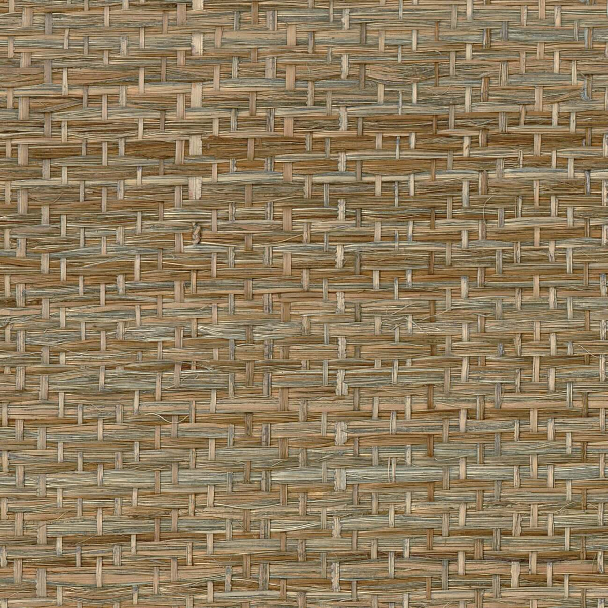 CMO Paris Abaca Herbacé Behang CMO WAB 11 - orage