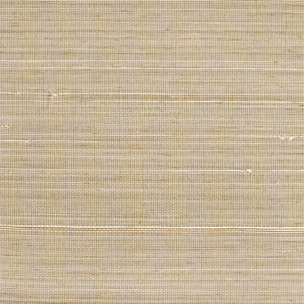 CMO Paris Abaca Dense Behang CMO WAB 05 - Sable