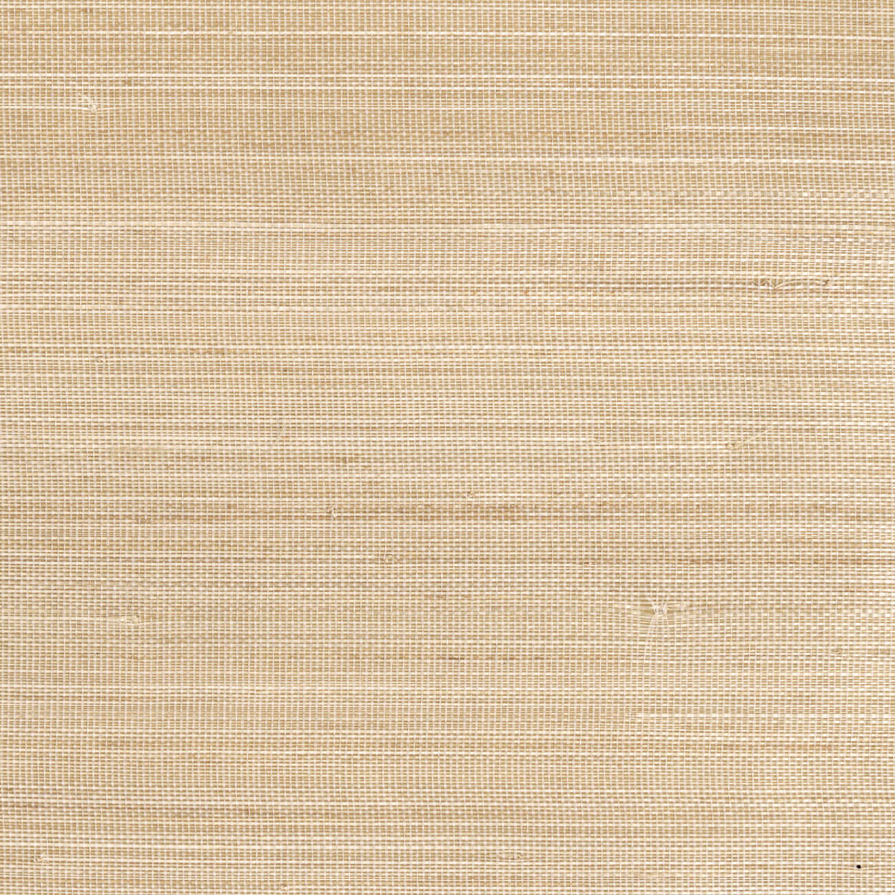 CMO Paris Abaca Dense Behang CMO WAB 05 - Miel