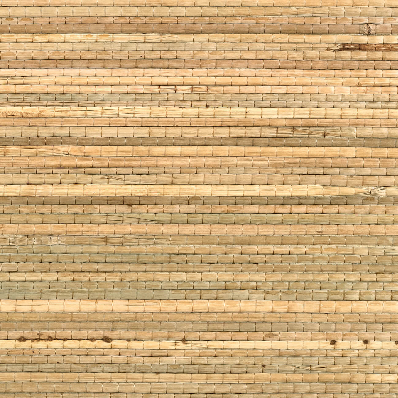 CMO Paris Papyrus Behang CMO WRS 02 - Naturel