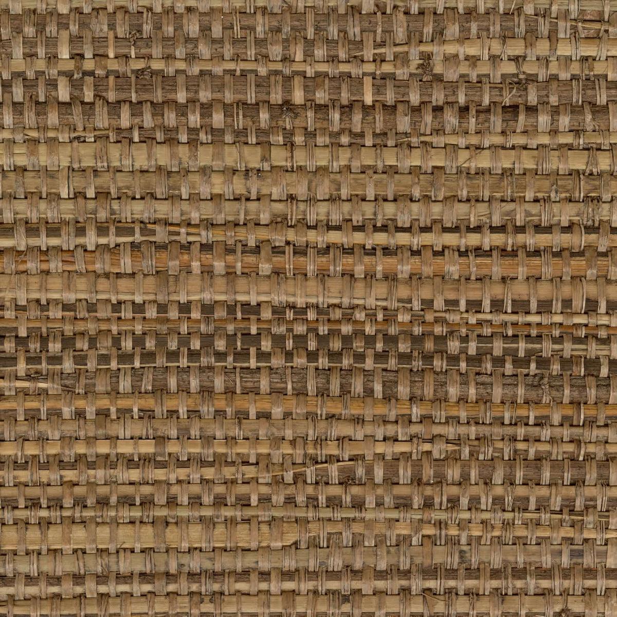 CMO Paris Papyrus Brut Behang CMO WRS 04 - tabac