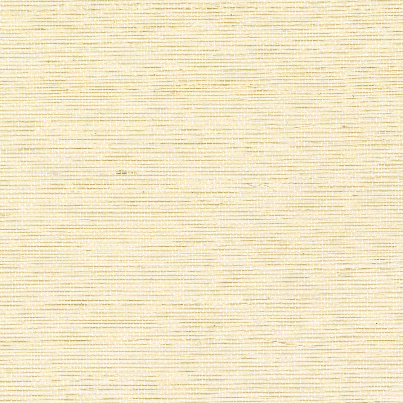 CMO Paris Sisal Behang CMO WSI 01 - Ivoire