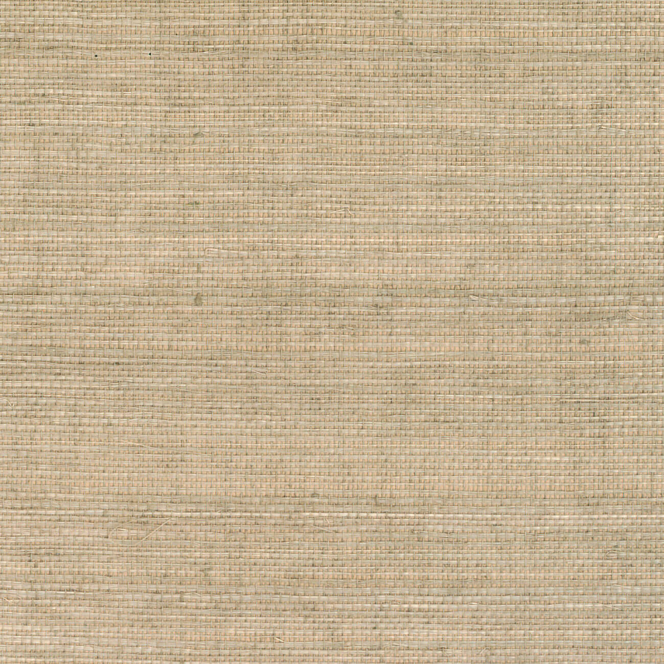 CMO Paris Sisal Behang CMO WSI 01 - Nude
