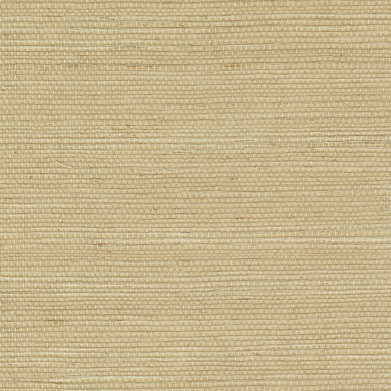 CMO Paris Sisal Behang CMO WSI 01 - Champagne