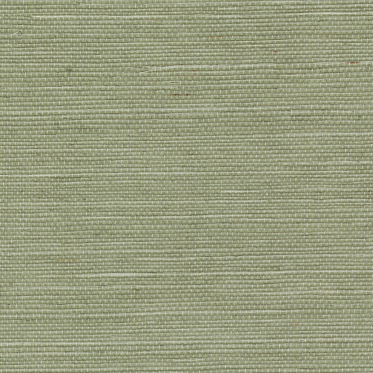 CMO Paris Sisal Behang CMO WSI 01 - Amande
