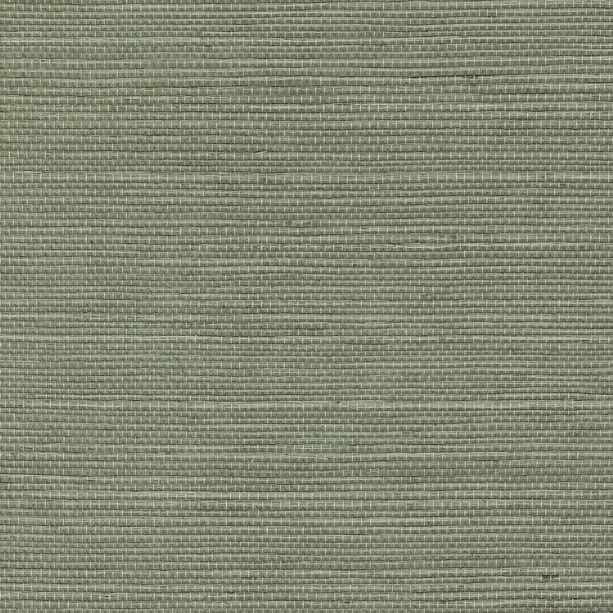 CMO Paris Sisal Behang CMO WSI 01 - Acier
