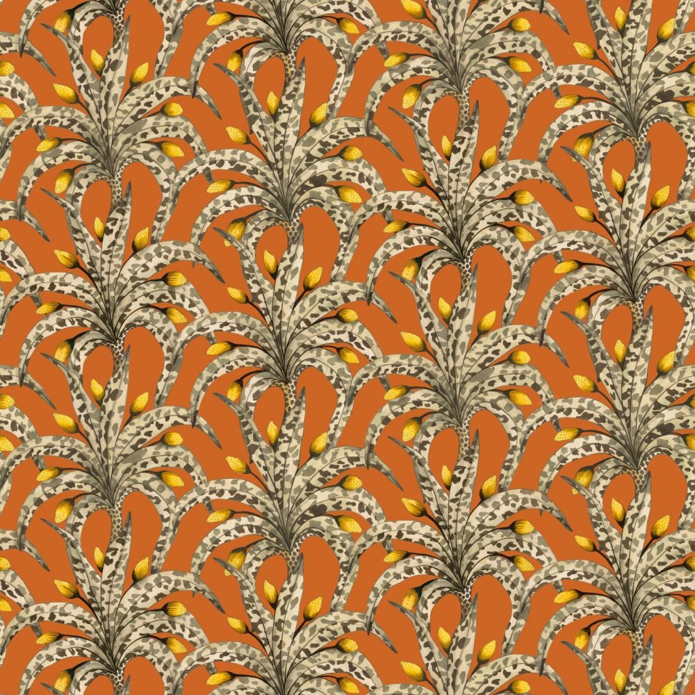 Cole & Son ARDMORE - BAOBAB Afrika Damask behang 129/5018 - LAB COLOUR THE WORLD