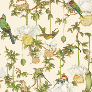 Cole & Son ARDMORE - BAOBAB Baobab Botanica behang 129/2004 - LAB COLOUR THE WORLD