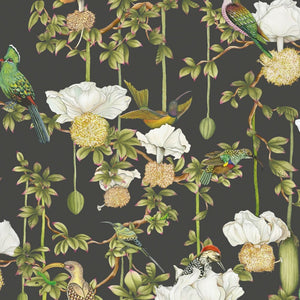 Cole & Son ARDMORE - BAOBAB Baobab Botanica behang 129/2009 - LAB COLOUR THE WORLD