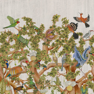 Cole & Son ARDMORE - BAOBAB Tree of Life behang 129/1001 - LAB COLOUR THE WORLD