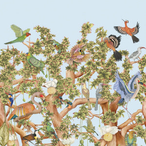 Cole & Son ARDMORE - BAOBAB Tree of Life behang 129/1003 - LAB COLOUR THE WORLD