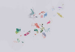 Coordonné 40th Anniversary Make - Down LA behang 8000033 - LAB COLOUR THE WORLD