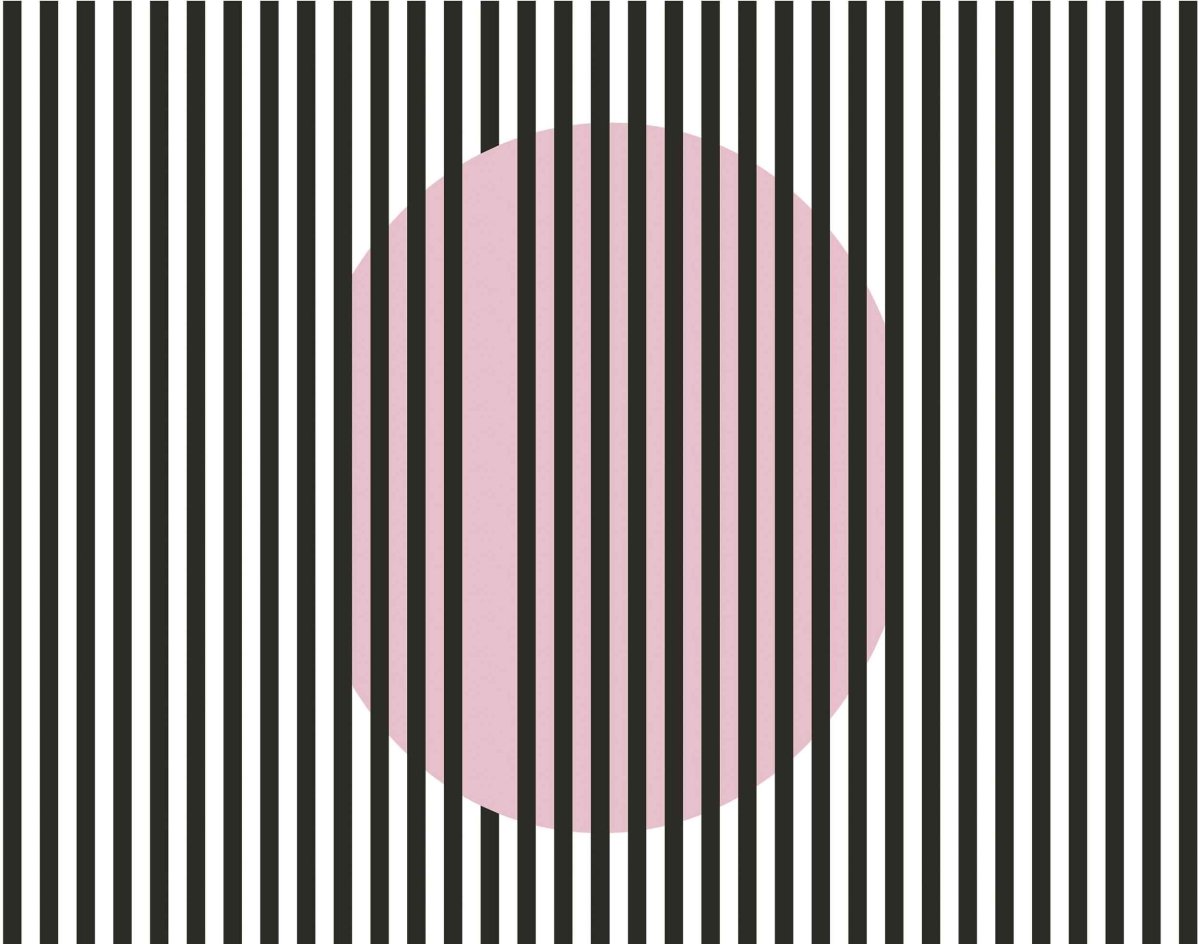 Coordonné Anima Nascondino behang 5900084 - LAB COLOUR THE WORLD