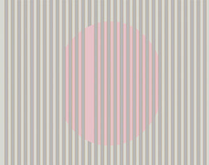 Coordonné Anima Nascondino behang 5900085 - LAB COLOUR THE WORLD
