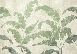 Coordonné Berber Leaves Shadow Leaves behang B00468 - LAB COLOUR THE WORLD