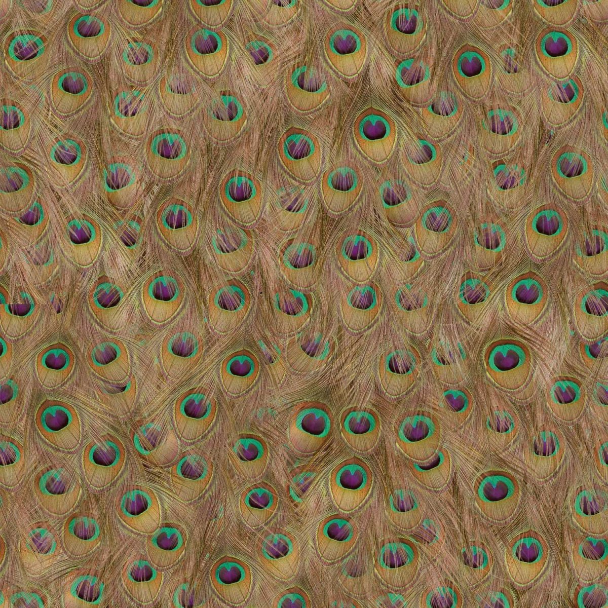 Coordonné Essentia 150/50 Peafowl behang 5800052 - LAB COLOUR THE WORLD
