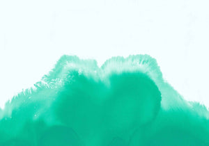 Coordonné Geo Coral Reefs Aqua behang A00121 - LAB COLOUR THE WORLD