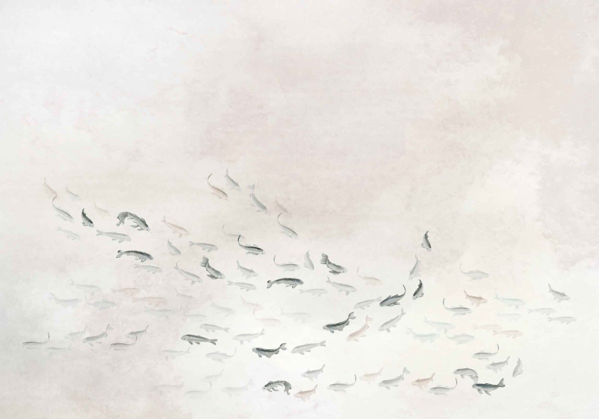 Coordonné Iconics Core - Koi behang 6600081 - LAB COLOUR THE WORLD