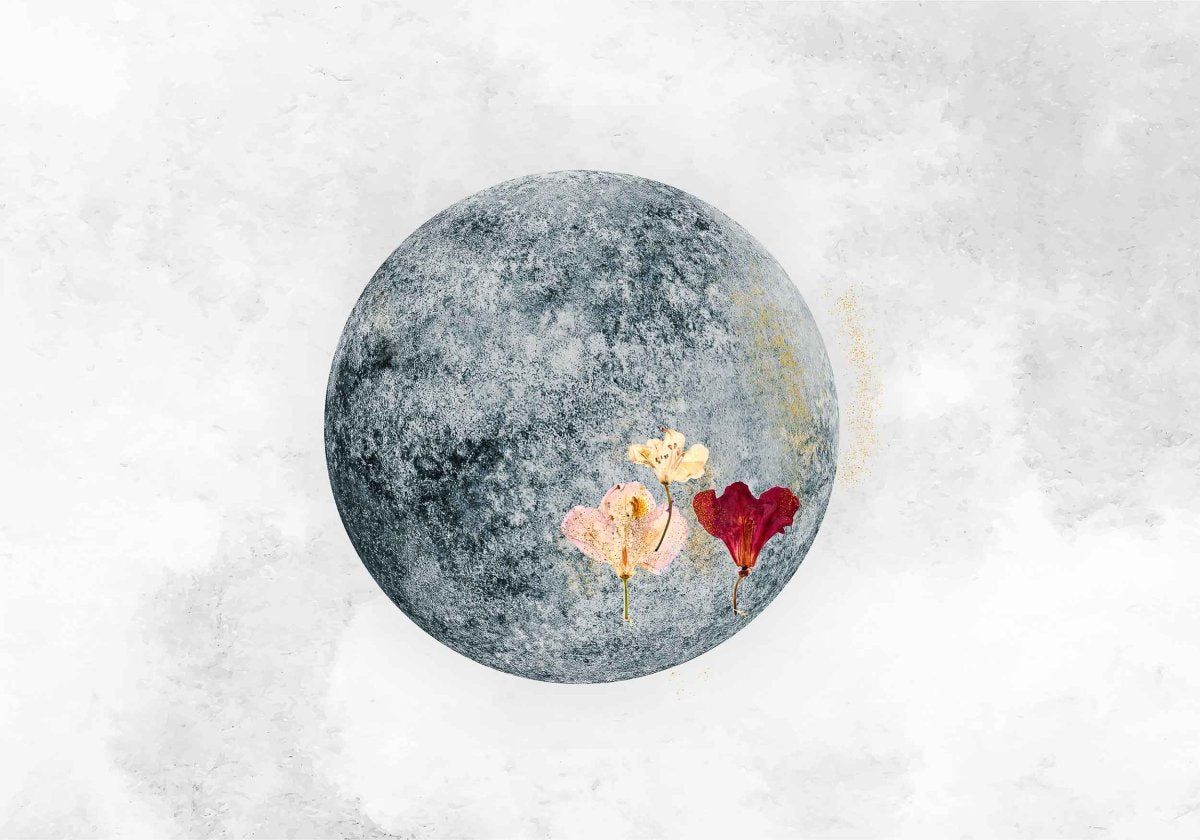 Coordonné Instant Full Moon behang 8500151 - LAB COLOUR THE WORLD