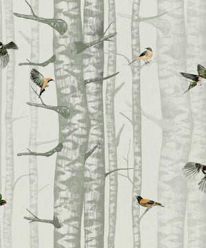 Coordonné Naturae Birch Trees behang 9500042 - LAB COLOUR THE WORLD