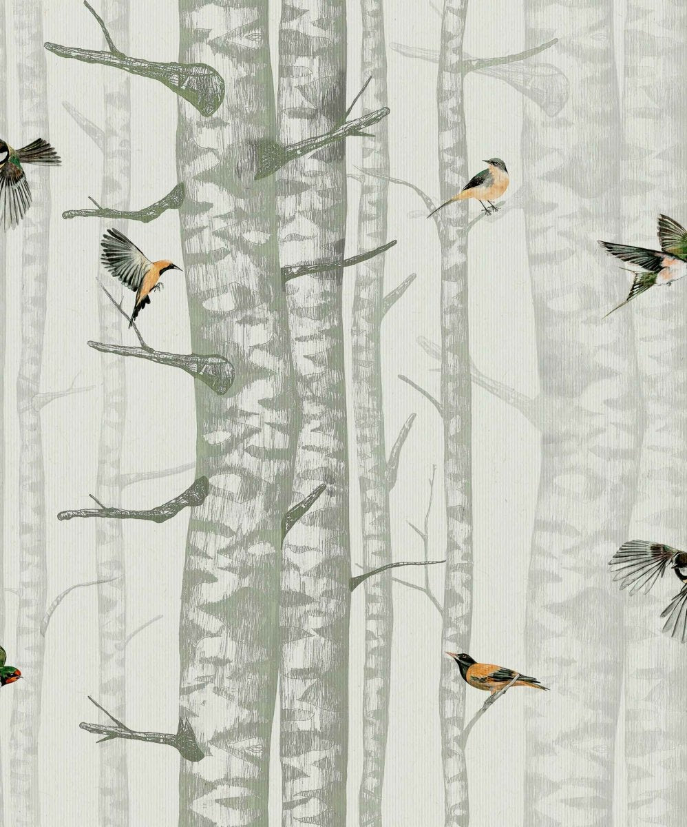 Coordonné Naturae Birch Trees behang 9500042 - LAB COLOUR THE WORLD