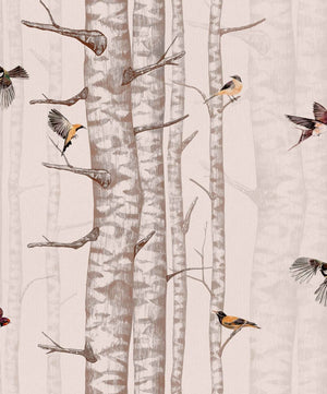 Coordonné Naturae Birch Trees behang 9500043 - LAB COLOUR THE WORLD