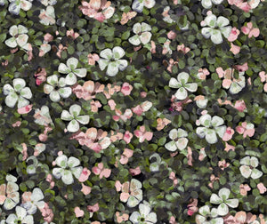 Coordonné Naturae Floral Tapestry behang 9500002 - LAB COLOUR THE WORLD