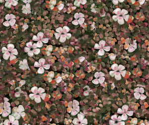 Coordonné Naturae Floral Tapestry behang 9500003 - LAB COLOUR THE WORLD