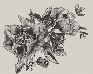 Coordonné Naturae Giant Peonies Ink behang 9500700 - LAB COLOUR THE WORLD