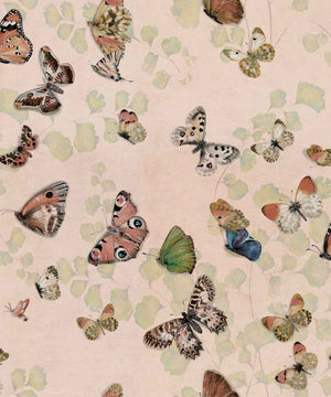 Coordonné Naturae Magic butterflies behang 9500052 - LAB COLOUR THE WORLD