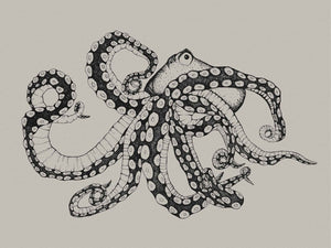 Coordonné Naturae Octopus XRay Ink behang 9500800 - LAB COLOUR THE WORLD